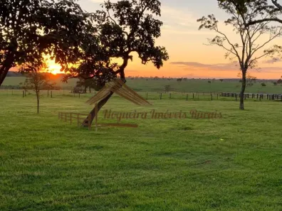 Fazenda/Sítio à venda, 1m² no , Ribas do Rio Pardo