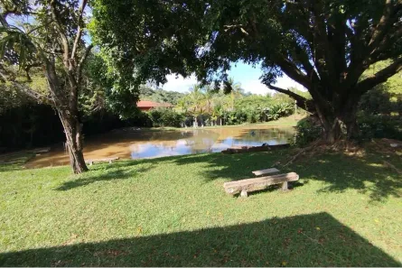 Fazenda/Sítio com 5 Quartos à venda, 585m² no Chácaras do Guacuri, Itupeva