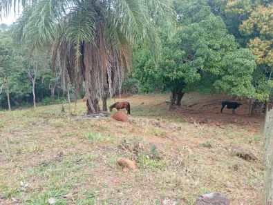 Fazenda/Sítio à venda, 20000m² no , Jaboticatubas