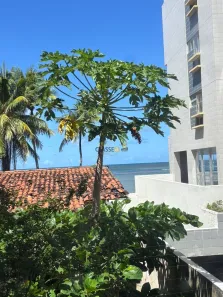 Apartamento com 3 Quartos à venda, 93m² no Candeias, Jaboatão dos Guararapes