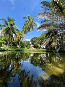 Fazenda/Sítio com 4 Quartos à venda, 3000m² no , Tibau do Sul