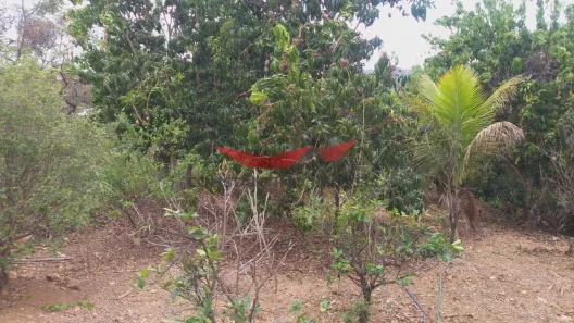 Lote/Terreno à venda, 4681m² no Palmital, Lagoa Santa