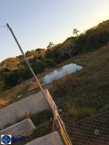 Fazenda/Sítio com 2 Quartos à venda, 3000m² no Jardim Barcelona, Bela Vista de Goiás