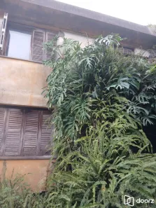 Casa com 4 Quartos à venda, 260m² no Santa Tereza, Porto Alegre