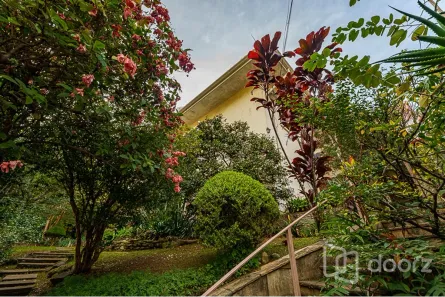 Casa com 3 Quartos à venda, 320m² no Pacaembu, São Paulo