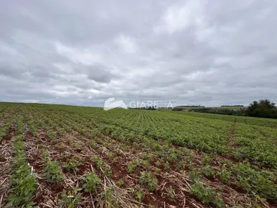 Fazenda/Sítio à venda, 36000m² no Nova Videira, Toledo