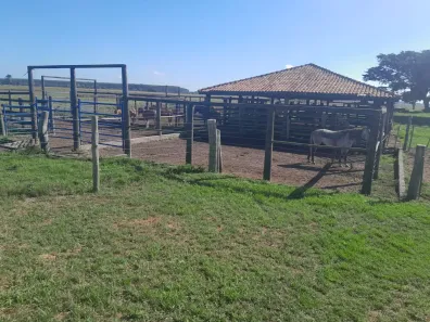 Fazenda/Sítio à venda, 1m² no , Ponto Belo