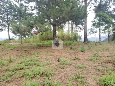 Lote/Terreno à venda, 1690000m² no Itaipava, Petrópolis