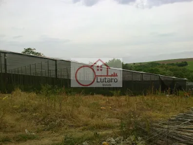 Fazenda/Sítio à venda, 10000m² no , Elias Fausto