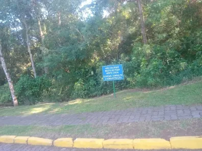 Lote/Terreno à venda, 488m² no São Lucas, Viamão