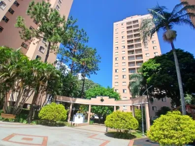 Apartamento com 3 Quartos para alugar, 60m² no Vila Butantã, São Paulo