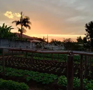 Lote/Terreno à venda, 1466m² no Village Campinas, Campinas