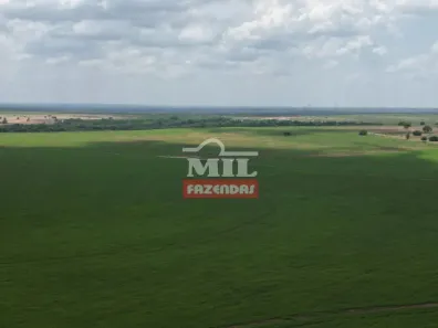Fazenda/Sítio à venda, 500m² no Setor Central, Araguaína