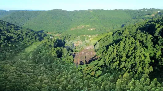 Fazenda/Sítio com 1 Quarto à venda, 52576m² no , Nova Petrópolis
