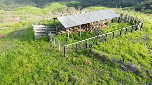 Fazenda/Sítio com 3 Quartos à venda, 31m² no , Pires do Rio