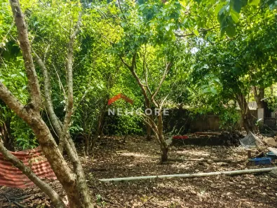 Lote/Terreno com 1 Quarto à venda, 1300m² no Vila Mangalot, São Paulo