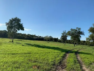 Fazenda/Sítio à venda, 8000m² no , São Félix do Araguaia