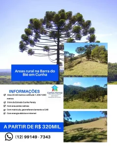 Fazenda/Sítio à venda, 20000m² no , Cunha