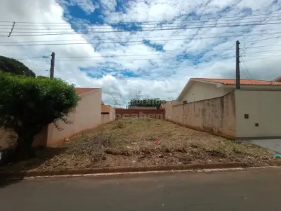 Lote/Terreno à venda, 220m² no Jardim das Palmeiras, Bady Bassitt