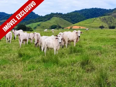 Fazenda/Sítio com 2 Quartos à venda, 790000m² no , Cachoeiras de Macacu