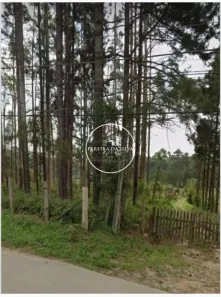 Lote/Terreno à venda, 54330m² no Centro, Embu-Guaçu