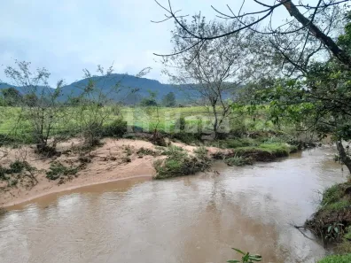 Fazenda/Sítio à venda, 204545m² no Morro Chato, Turvo