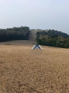 Fazenda/Sítio com 5 Quartos à venda, 450m² no , Congonhinhas