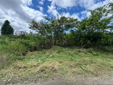 Lote/Terreno à venda, 125m² no Gaivota (Interior), Itanhaém