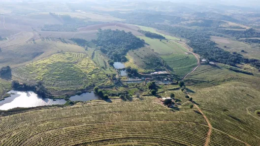 Fazenda/Sítio com 7 Quartos à venda, 1000m² no , Ouro Fino