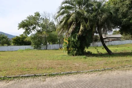 Lote/Terreno à venda, 452m² no Ratones, Florianópolis