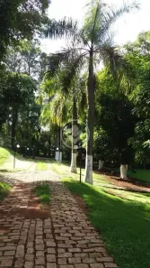 Casa de Condomínio com 4 Quartos à venda, 230m² no Condominio Quintas dos Ipês, São José da Lapa
