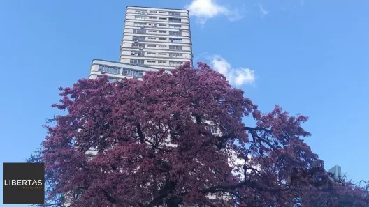 Sala Comercial com 1 Quarto à venda, 23m² no Centro Histórico, Porto Alegre