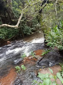 Fazenda/Sítio com 2 Quartos à venda, 145200m² no , Cajuru