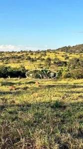 Lote/Terreno à venda, 38m² no Centro, Iporá
