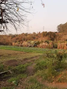 Lote/Terreno à venda, 41839m² no Distrito Industrial, Rio Claro