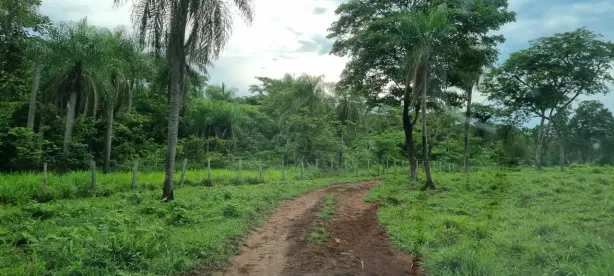 Fazenda/Sítio à venda, 46550000m² no Centro, Camapuã