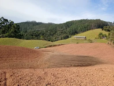Fazenda/Sítio à venda, 30000m² no , Angelina