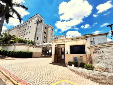 Apartamento com 2 Quartos à venda, 45m² no Loteamento Parque São Martinho, Campinas