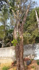 Lote/Terreno à venda, 212m² no Tucuruvi, São Paulo