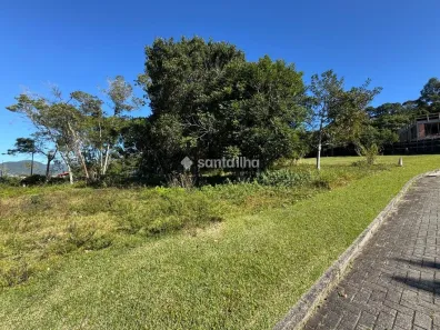 Lote/Terreno à venda, 1302m² no Campeche, Florianópolis