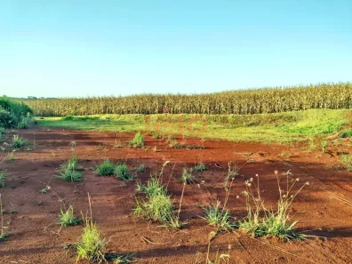 Lote/Terreno à venda, 2500m² no Jardim São Jorge, Maringá