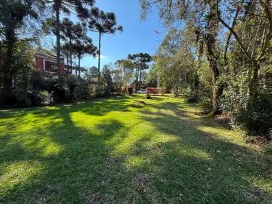 Lote/Terreno à venda, 531m² no Dante, Canela