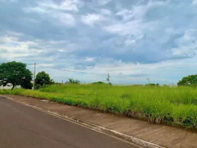 Lote/Terreno à venda, 764m² no Jardim Athenas, Sertãozinho