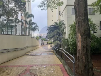 Apartamento com 3 Quartos para alugar, 55m² no Jardim Esmeralda, São Paulo