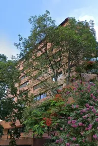 Apartamento com 1 Quarto à venda, 51m² no Três Figueiras, Porto Alegre
