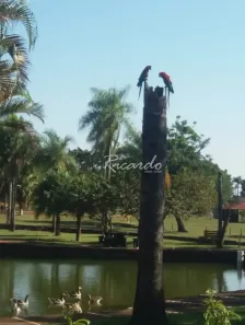 Lote/Terreno à venda, 5124m² no Vila Vargas, Dourados