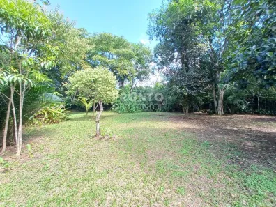 Fazenda/Sítio com 4 Quartos à venda, 465m² no Aldeia dos Camarás, Camaragibe