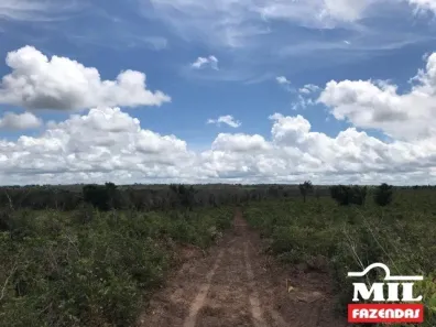 Fazenda/Sítio à venda, 1m² no , Guaraí