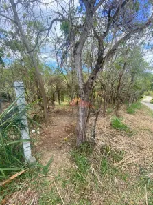 Lote/Terreno à venda, 1680m² no Ratones, Florianópolis
