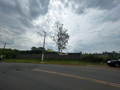 Lote/Terreno para alugar, 5000m² no Neópolis, Gravataí